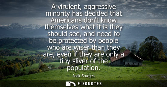 Small: A virulent, aggressive minority has decided that Americans dont know themselves what it is they should 