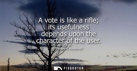 Small: A vote is like a rifle its usefulness depends upon the character of the user