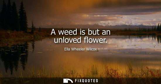 Small: A weed is but an unloved flower