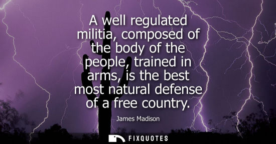 Small: A well regulated militia, composed of the body of the people, trained in arms, is the best most natural