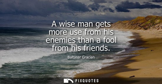Small: A wise man gets more use from his enemies than a fool from his friends - Baltasar Gracian