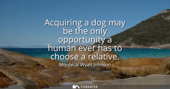 Small: Acquiring a dog may be the only opportunity a human ever has to choose a relative