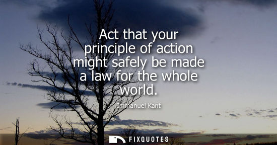 Small: Act that your principle of action might safely be made a law for the whole world