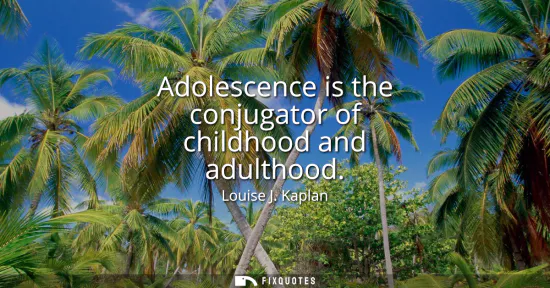Small: Adolescence is the conjugator of childhood and adulthood