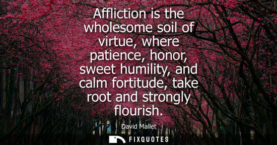 Small: Affliction is the wholesome soil of virtue, where patience, honor, sweet humility, and calm fortitude, 