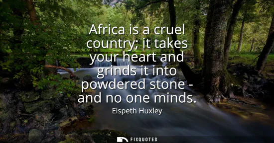 Small: Africa is a cruel country it takes your heart and grinds it into powdered stone - and no one minds