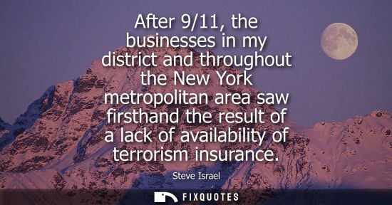 Small: After 9/11, the businesses in my district and throughout the New York metropolitan area saw firsthand t