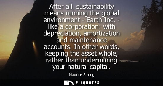 Small: After all, sustainability means running the global environment - Earth Inc. - like a corporation: with depreci