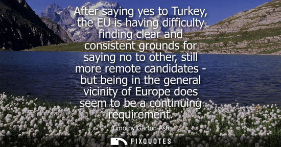 Small: After saying yes to Turkey, the EU is having difficulty finding clear and consistent grounds for saying