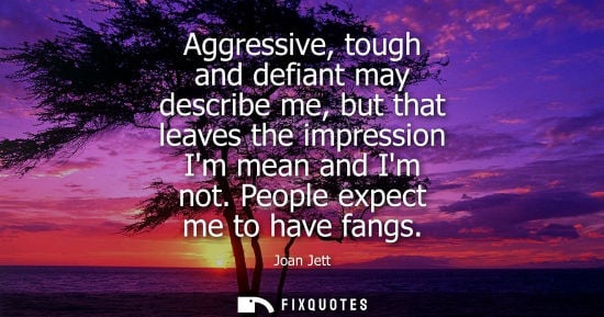 Small: Aggressive, tough and defiant may describe me, but that leaves the impression Im mean and Im not. Peopl