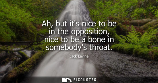 Small: Ah, but its nice to be in the opposition, nice to be a bone in somebodys throat
