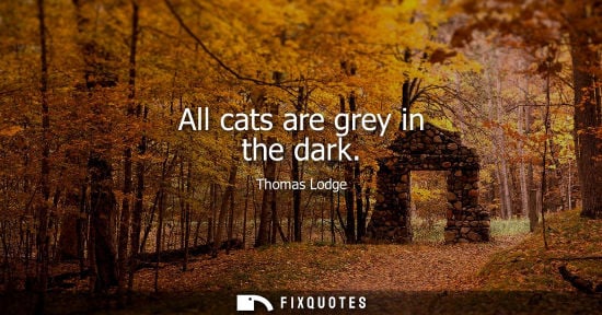 Small: All cats are grey in the dark