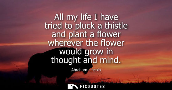 Small: All my life I have tried to pluck a thistle and plant a flower wherever the flower would grow in thought and m