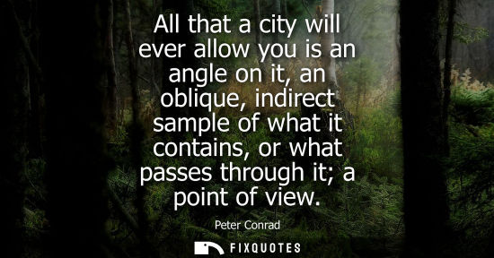 Small: All that a city will ever allow you is an angle on it, an oblique, indirect sample of what it contains,