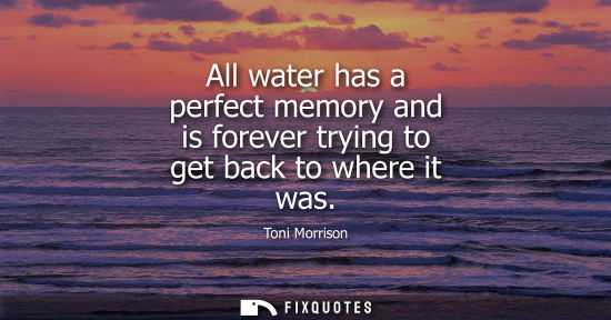 Small: All water has a perfect memory and is forever trying to get back to where it was