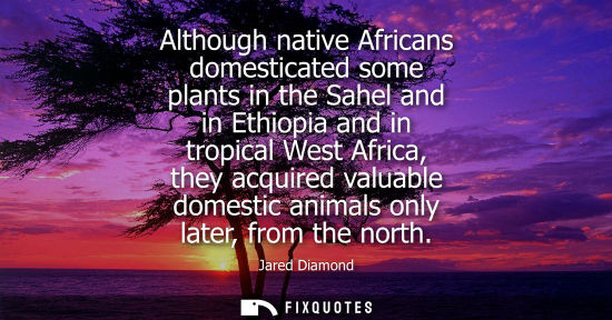Small: Jared Diamond: Although native Africans domesticated some plants in the Sahel and in Ethiopia and in tropical 
