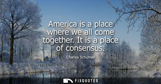 Small: America is a place where we all come together. It is a place of consensus