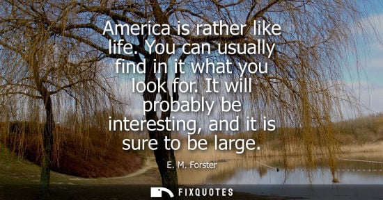 Small: America is rather like life. You can usually find in it what you look for. It will probably be interest