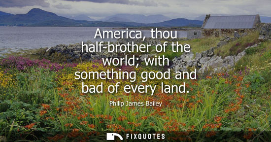 Small: America, thou half-brother of the world with something good and bad of every land