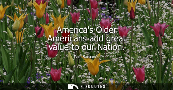 Small: Americas Older Americans add great value to our Nation
