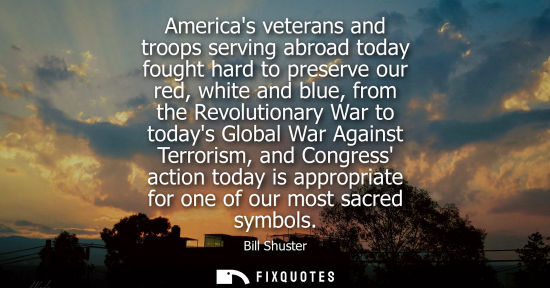 Small: Americas veterans and troops serving abroad today fought hard to preserve our red, white and blue, from