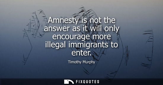 Small: Amnesty is not the answer as it will only encourage more illegal immigrants to enter