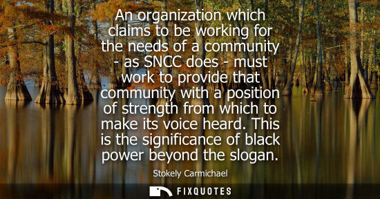 Small: An organization which claims to be working for the needs of a community - as SNCC does - must work to p