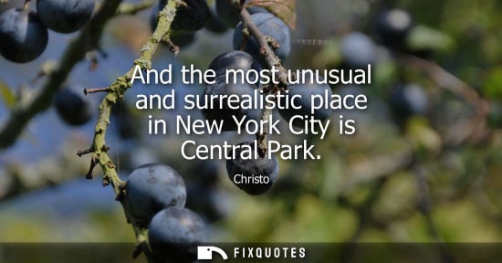Small: And the most unusual and surrealistic place in New York City is Central Park - Christo