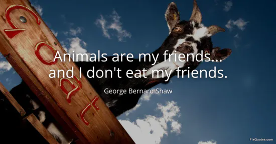 Animals are my friends... and I dont eat my friends - George Bernard Shaw