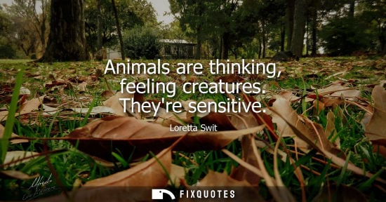 Small: Animals are thinking, feeling creatures. Theyre sensitive