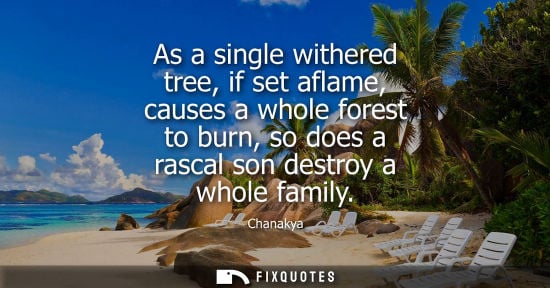 Small: As a single withered tree, if set aflame, causes a whole forest to burn, so does a rascal son destroy a