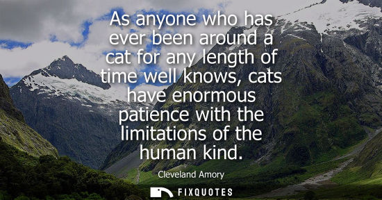 Small: As anyone who has ever been around a cat for any length of time well knows, cats have enormous patience with t