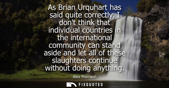 Small: As Brian Urquhart has said quite correctly, I dont think that individual countries in the international