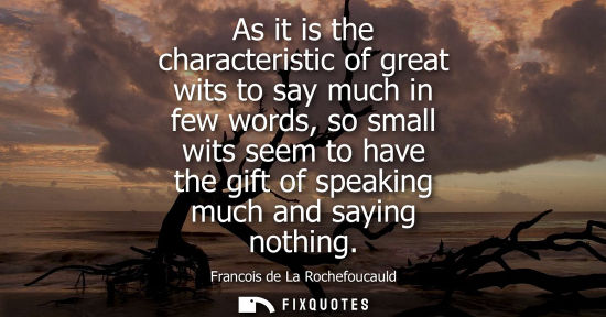 Small: As it is the characteristic of great wits to say much in few words, so small wits seem to have the gift of spe