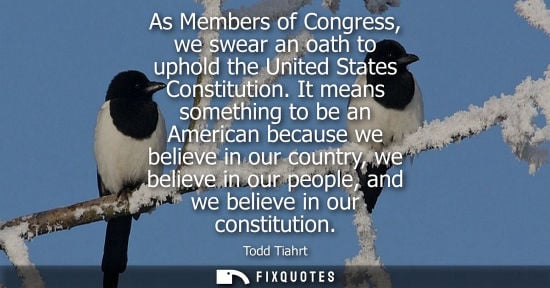 Small: As Members of Congress, we swear an oath to uphold the United States Constitution. It means something t