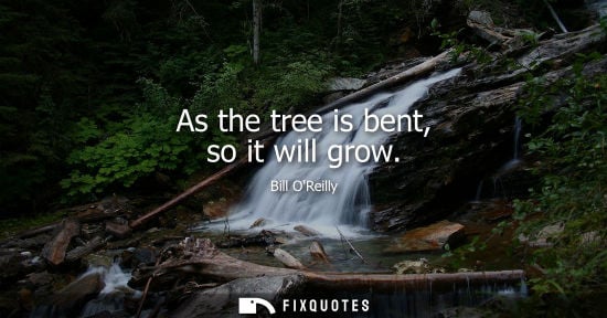Small: Bill OReilly: As the tree is bent, so it will grow