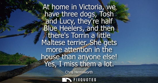 Small: At home in Victoria, we have three dogs, Tosh and Lucy, theyre half Blue Heelers, and then theres Torri