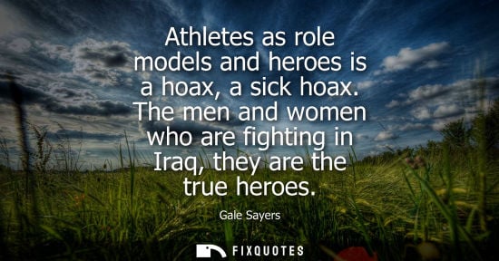 Small: Athletes as role models and heroes is a hoax, a sick hoax. The men and women who are fighting in Iraq, 