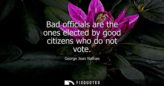 Small: Bad officials are the ones elected by good citizens who do not vote