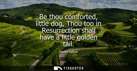 Small: Be thou comforted, little dog, Thou too in Resurrection shall have a little golden tail