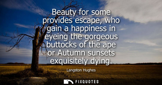 Small: Langston Hughes: Beauty for some provides escape, who gain a happiness in eyeing the gorgeous buttocks of the 