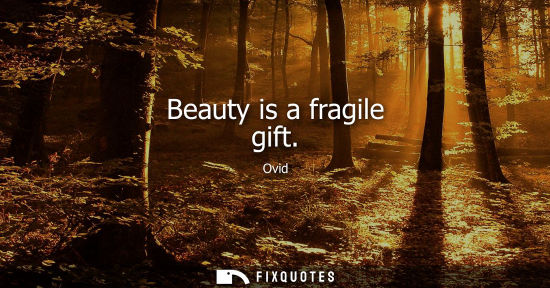 Small: Beauty is a fragile gift