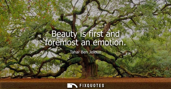 Small: Beauty is first and foremost an emotion