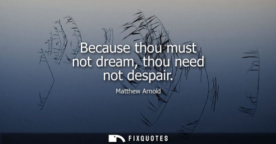 Small: Matthew Arnold: Because thou must not dream, thou need not despair