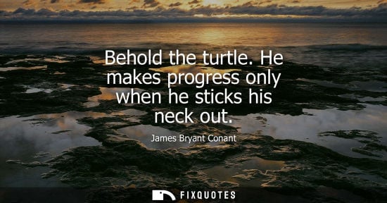 Small: Behold the turtle. He makes progress only when he sticks his neck out