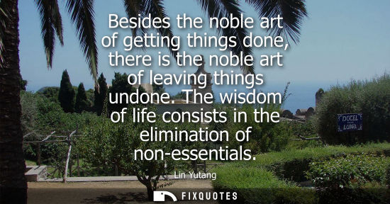 Small: Besides the noble art of getting things done, there is the noble art of leaving things undone.