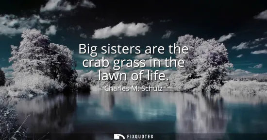 Small: Big sisters are the crab grass in the lawn of life