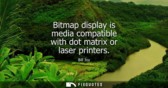 Small: Bitmap display is media compatible with dot matrix or laser printers