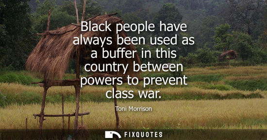 Small: Black people have always been used as a buffer in this country between powers to prevent class war
