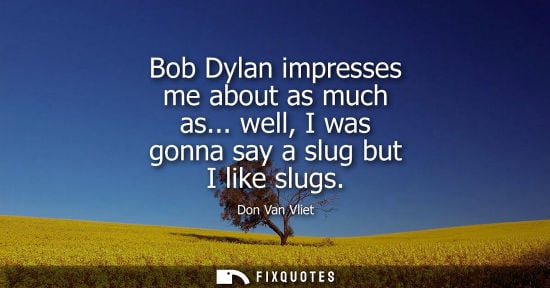 Small: Don Van Vliet: Bob Dylan impresses me about as much as... well, I was gonna say a slug but I like slugs